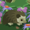 Creekwood Forest flash game
