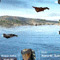 Drakojan Skies: Mission 2 flash game