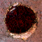 Korrode flash game