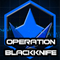 Operation BlackKnife flash game