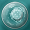Phage Wars Live flash game