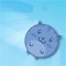 Sushi Cat flash game